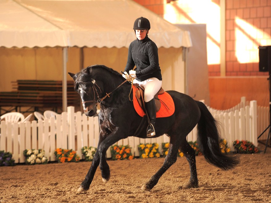 Sassan in Wickrath 2012